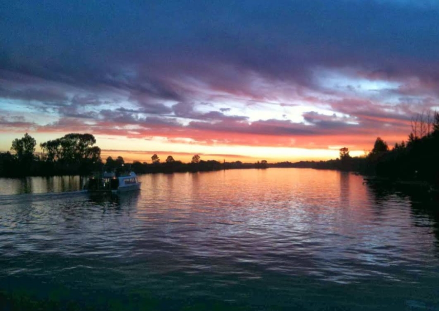 0 Bedroom Property for Sale in Mullersrust Free State